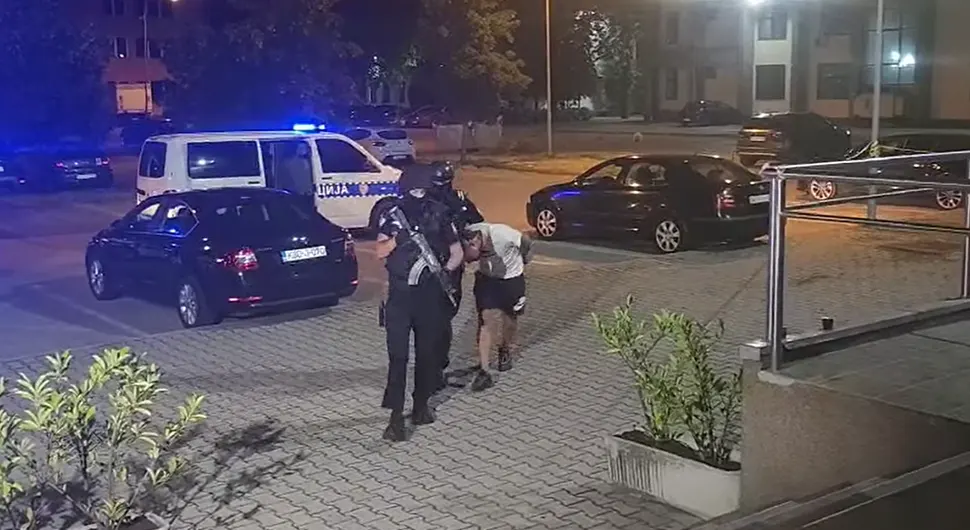 Грујић Жутић.webp